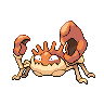 skorupi